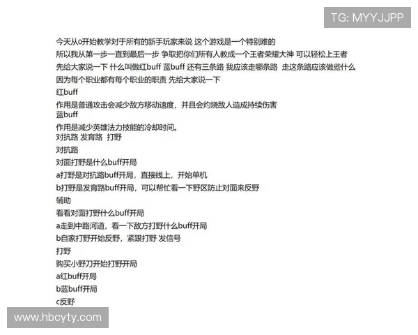 赵芳的王者荣耀人生探秘：从新手到高手的成长之路与心路历程